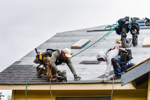 Professional Storm Damage Roof Repair technician working in Harrison, NJ
